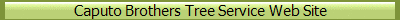 Caputo Brothers Tree Service Web Site